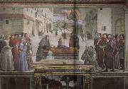 Domenicho Ghirlandaio Erweckung eines Knaben oil painting reproduction
